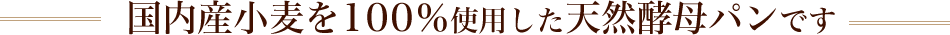 国内産小麦を100％使用した天然酵母パンです